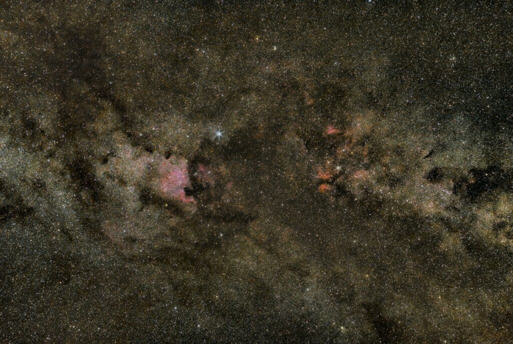 Cygnus Constellation