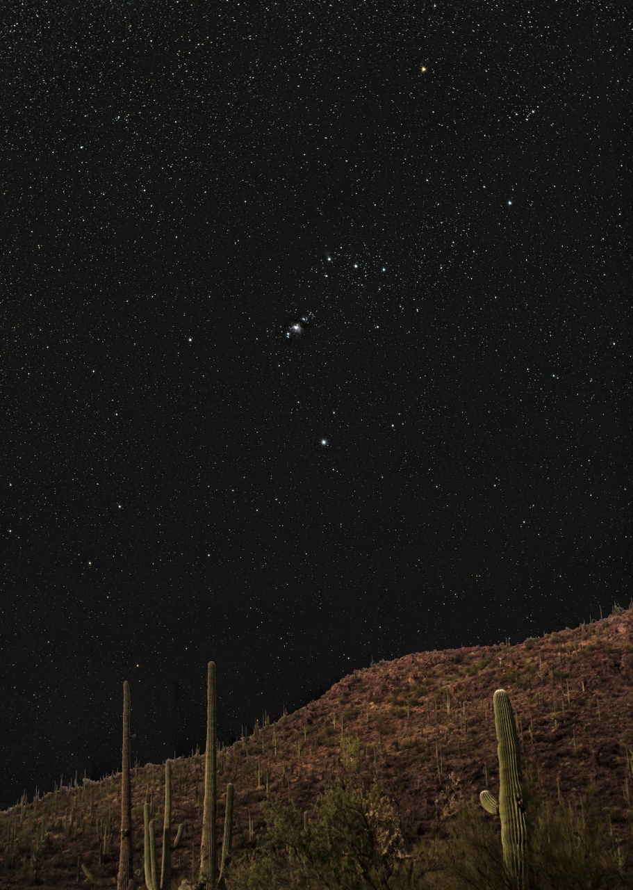 Orion over Brown Mtn.