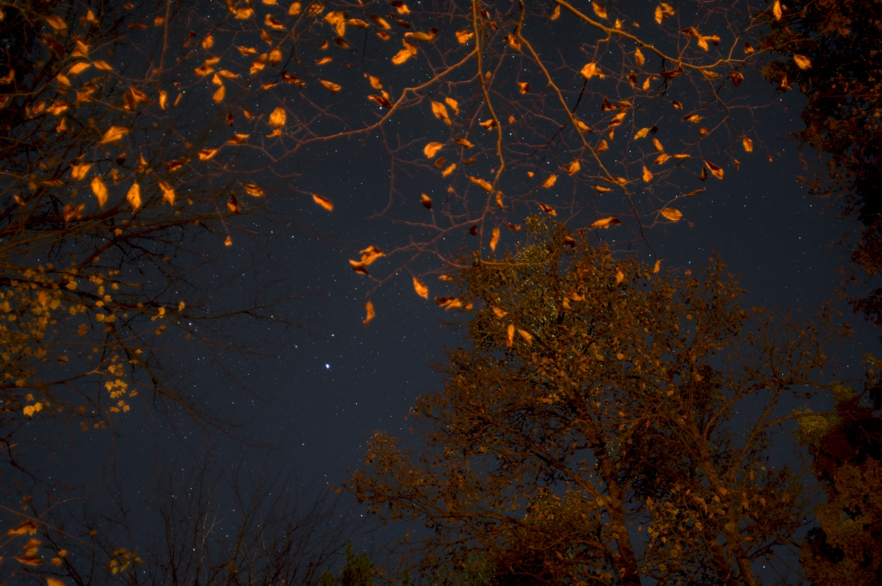 Campfire Illumination 2