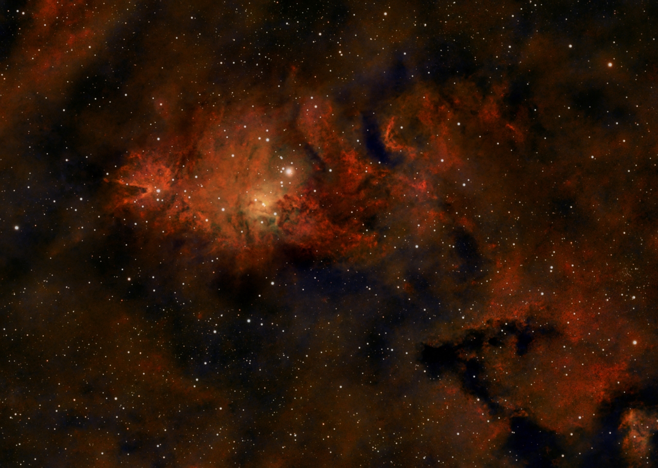 Cone Nebula and Christmas Tree cluster Narrow V.2
