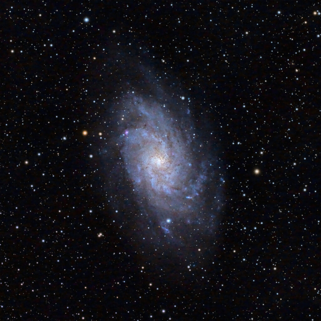 M33 without Globular Clusters M33 Triangulum Galaxy