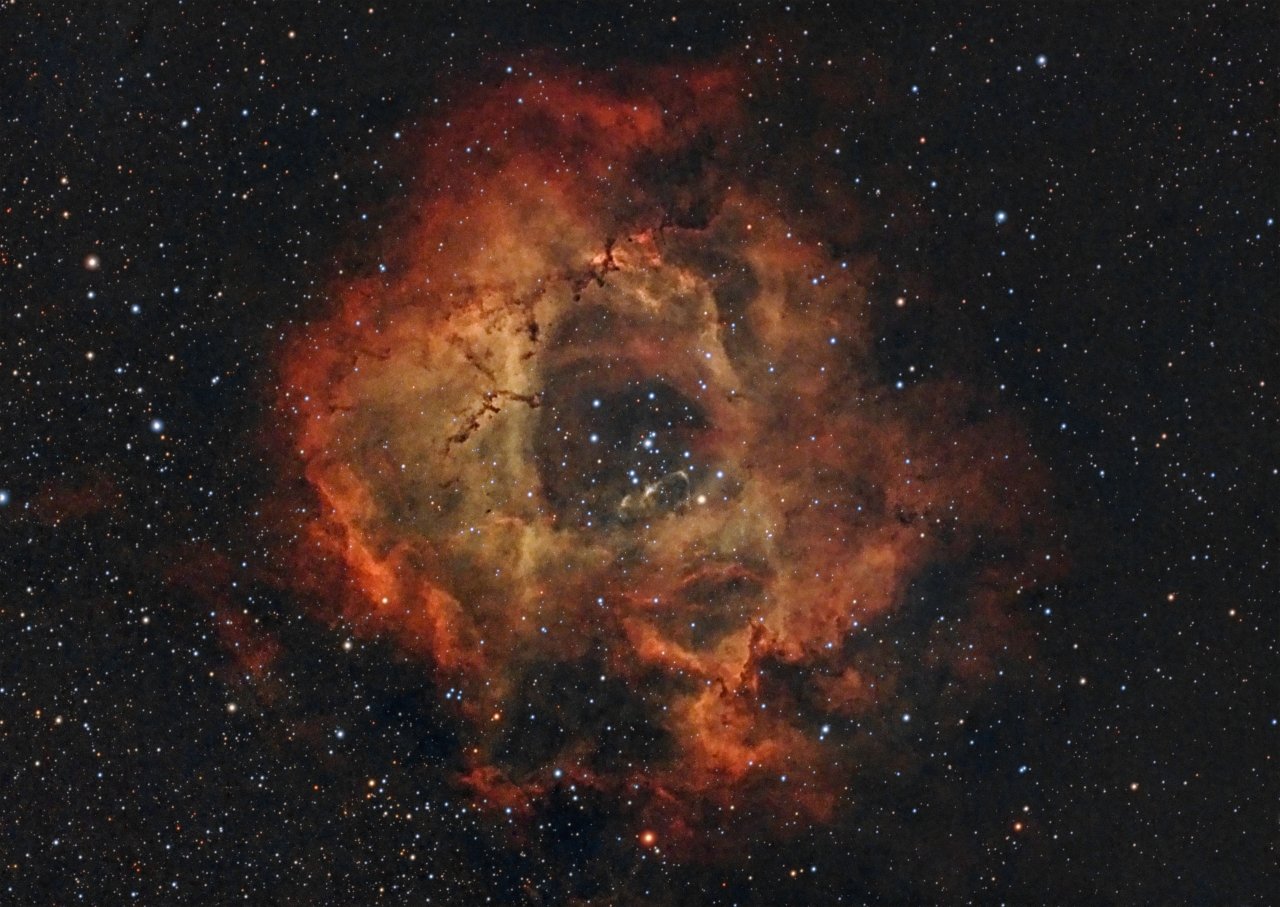 An Image of the Rosette Nebula and NGC 2244