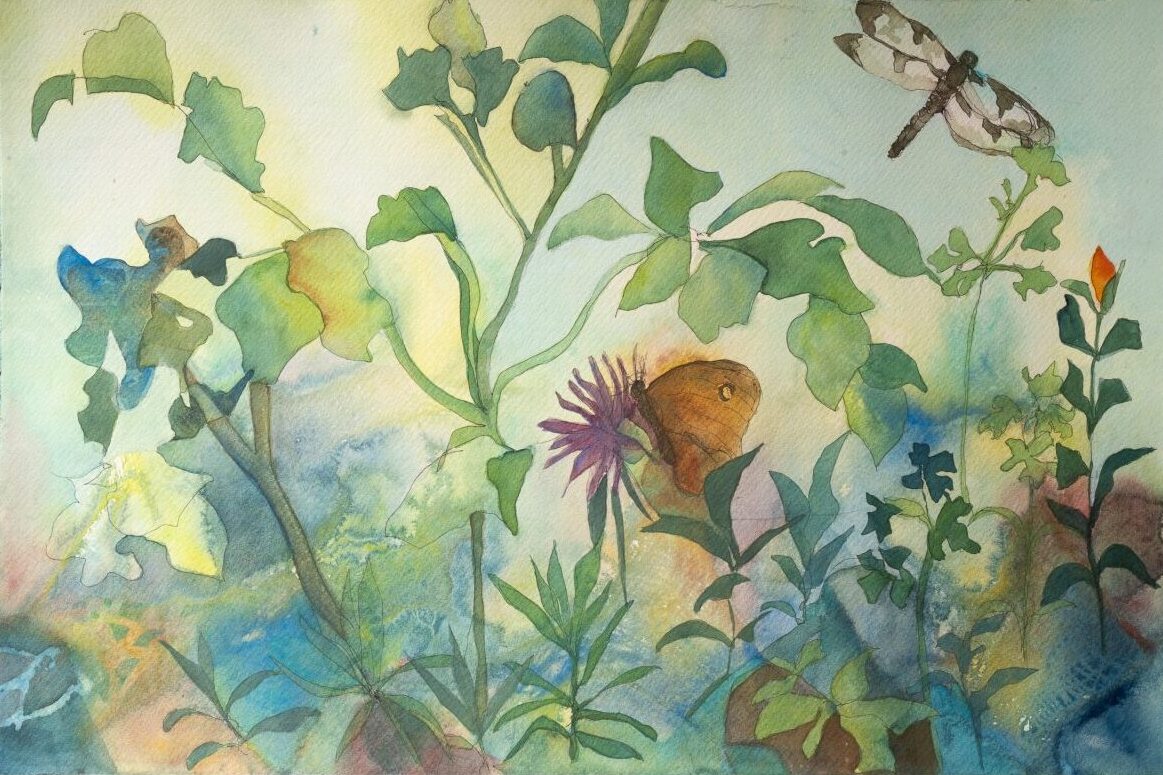 Summer Garden #1