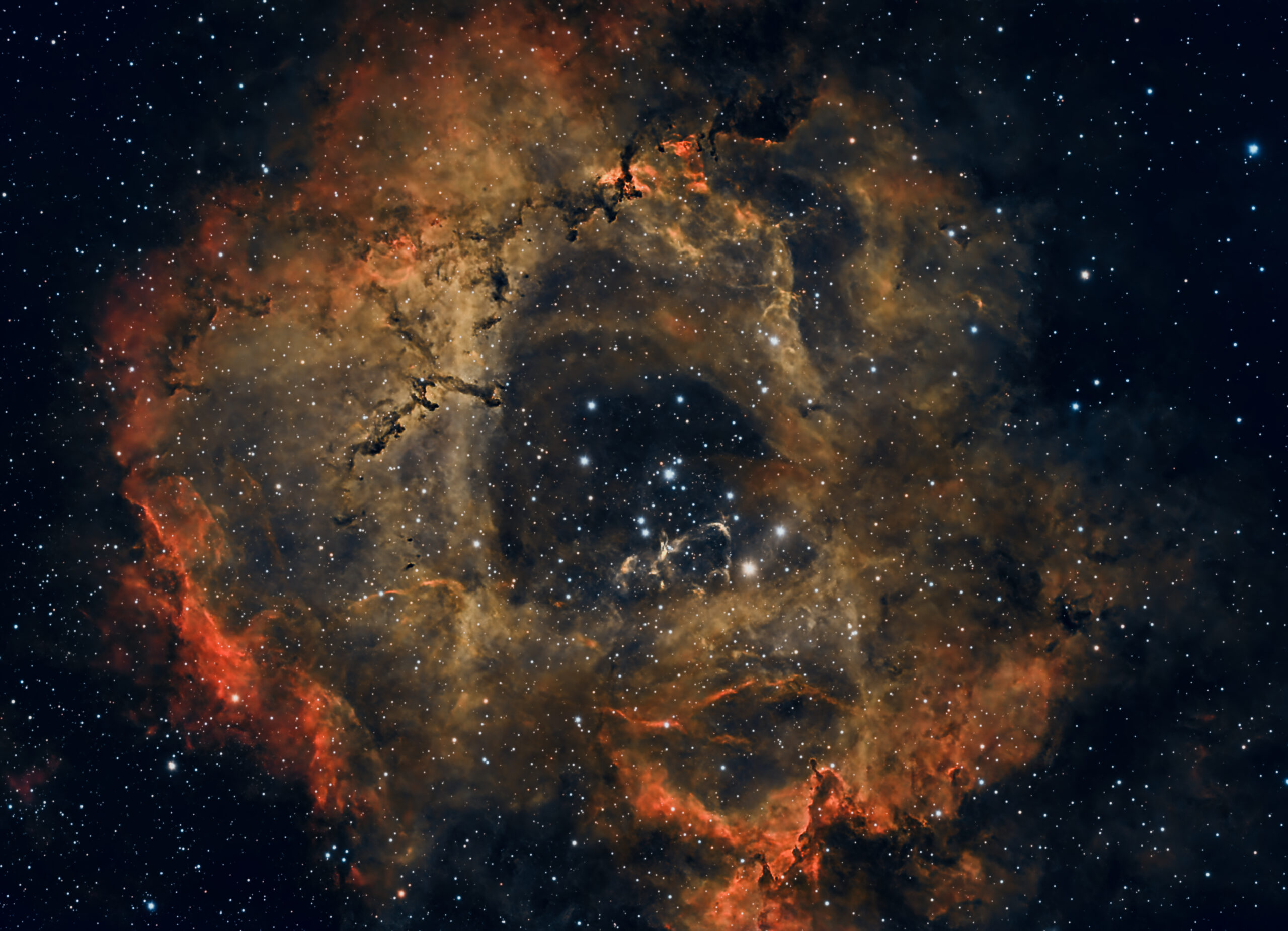 The Rosette Nebula – NGC 2244